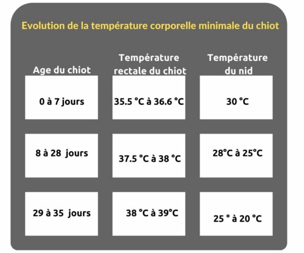 Prise-en-charge-des-chiots-dans-les-premieres-semaines-de-vie